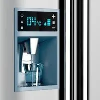 clean refrigerator water dispenser mold