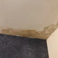 Shower drain leaking through ceiling 2022