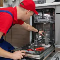 Dishwasher Inlet Valve Clogged 2022