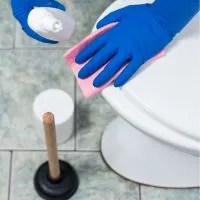 Get Urine Out Of Grout Around Toilet
