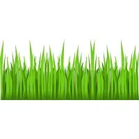 Growing grass in clay soil