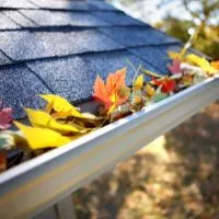 How to keep leaves out of gutters 2022