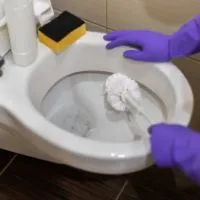 How to remove harpic stains from toilet seat