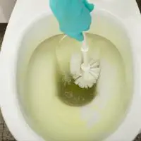 clean hole in bottom of toilet
