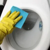remove harpic stains from toilet seat