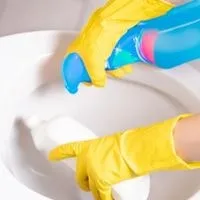 Rinse the toilet seat with water