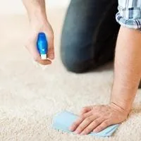 Method To Remove Non-Greasy Stains From The Carpet
